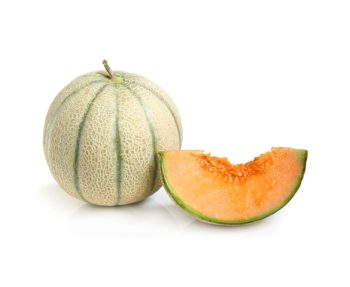 CANTALOUPE MELON