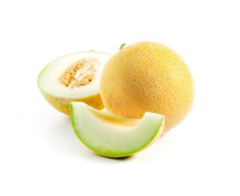 GALIA MELON